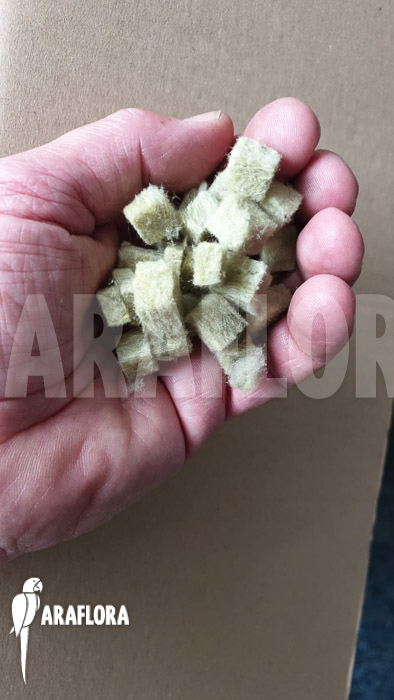 Rockwool cubes Grodan