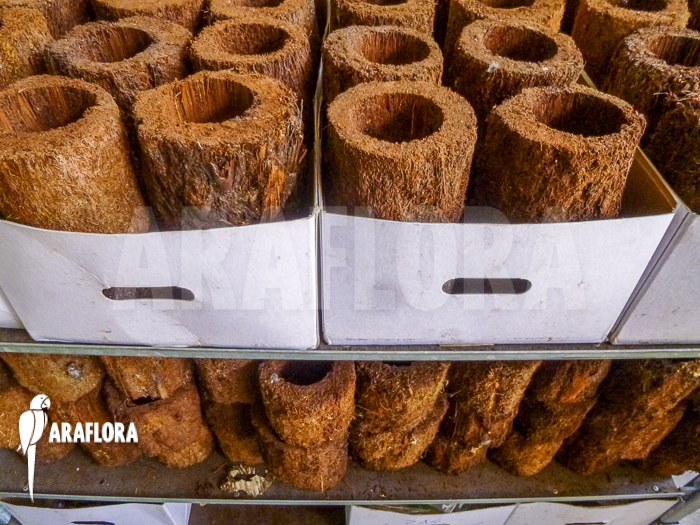 Tree-fern-pot-xaxim-M-3