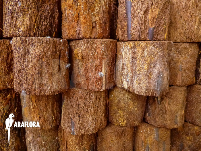 Tree fern pot xaxim ‘S’