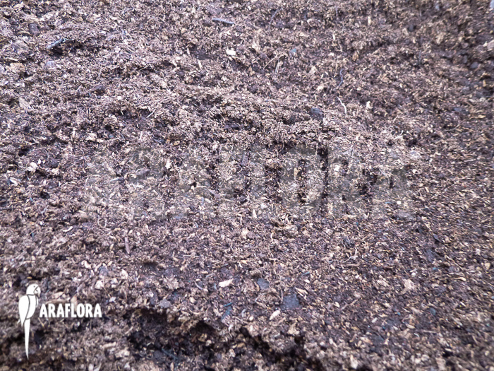 Venus flytrap boosting peat